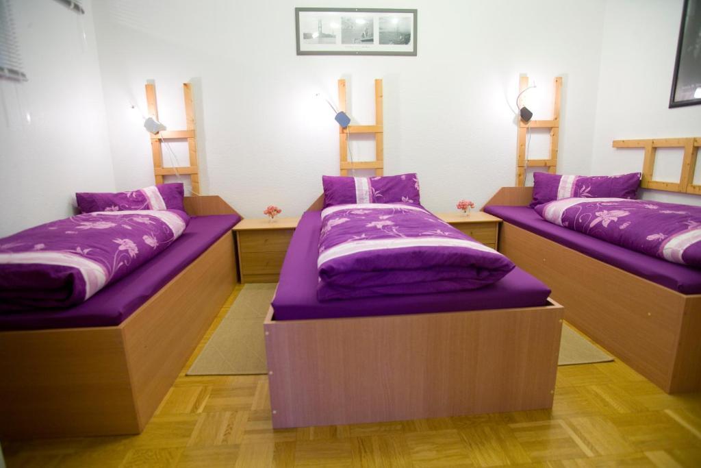 Zimmer Weiss Altenstädt 部屋 写真